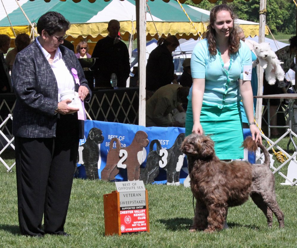 Mid-Kentucky Kennel Club helps sponsor Louisville dog show, Local News