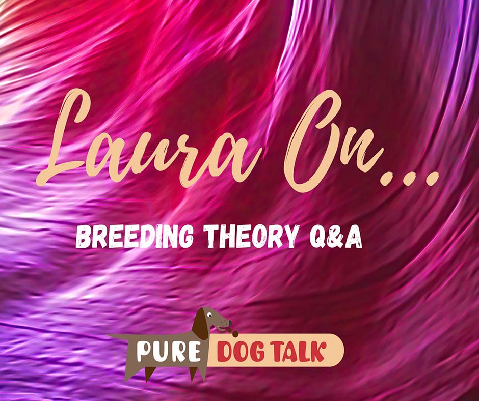 570 — Breeding Theory Q&A From LIVE@5