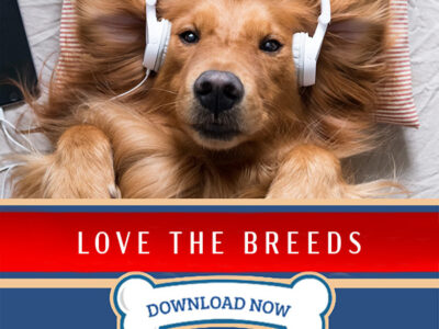 PDT Album: Love the Breeds