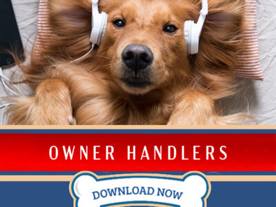 PDT Album: Owner Handlers