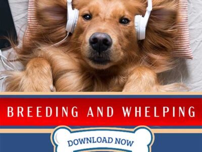 PDT Album: Breeding and Whelping: Hands-On