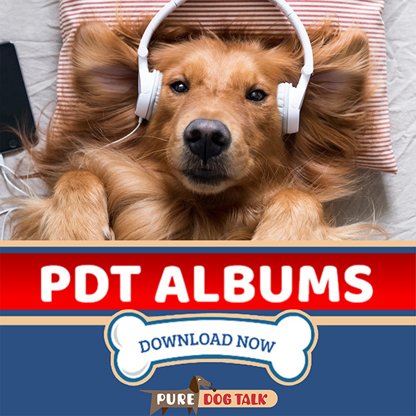 PDT Albums__