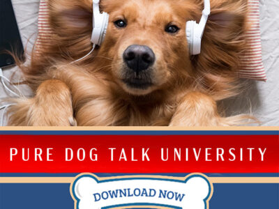 PDT Album: Pure Dog Talk University: Dog Breeding