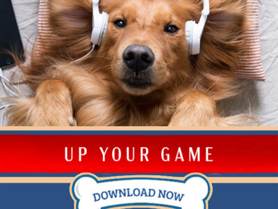PDT Album: Up Your Game!