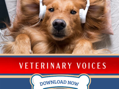 PDT Album: Veterinary Voices