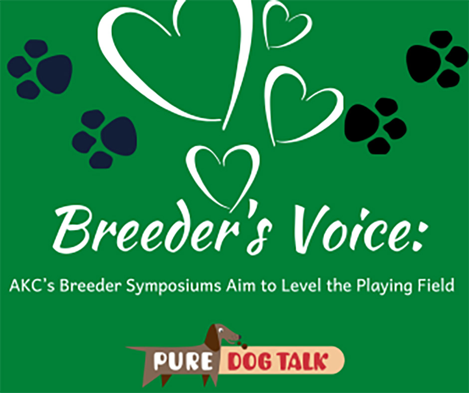 Veterinary-Voice-AKC’s Breeder Symposiums Aim to Level the Playing Field