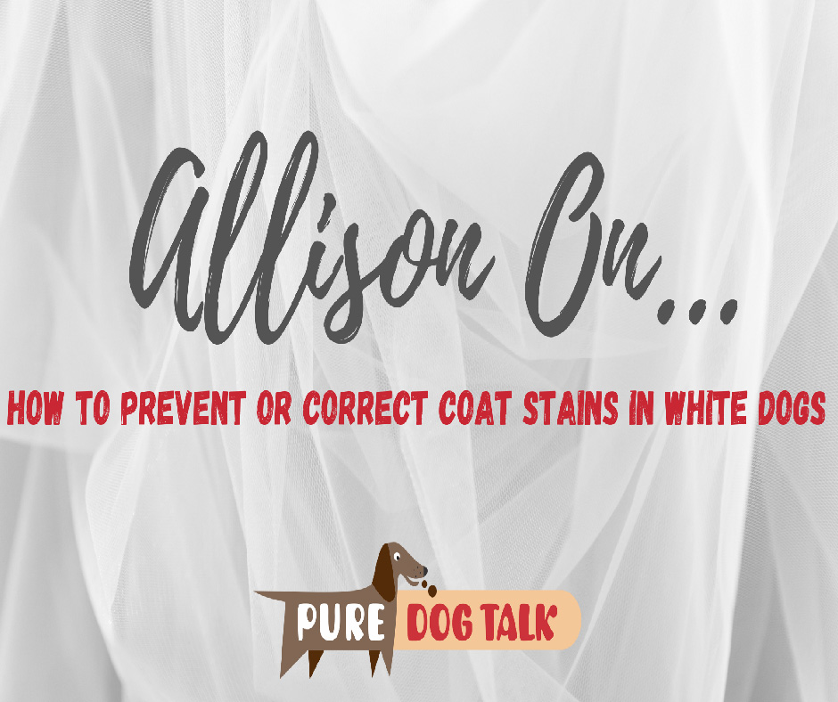 Allison On_revent or Correct Coat Stains in White Dogs