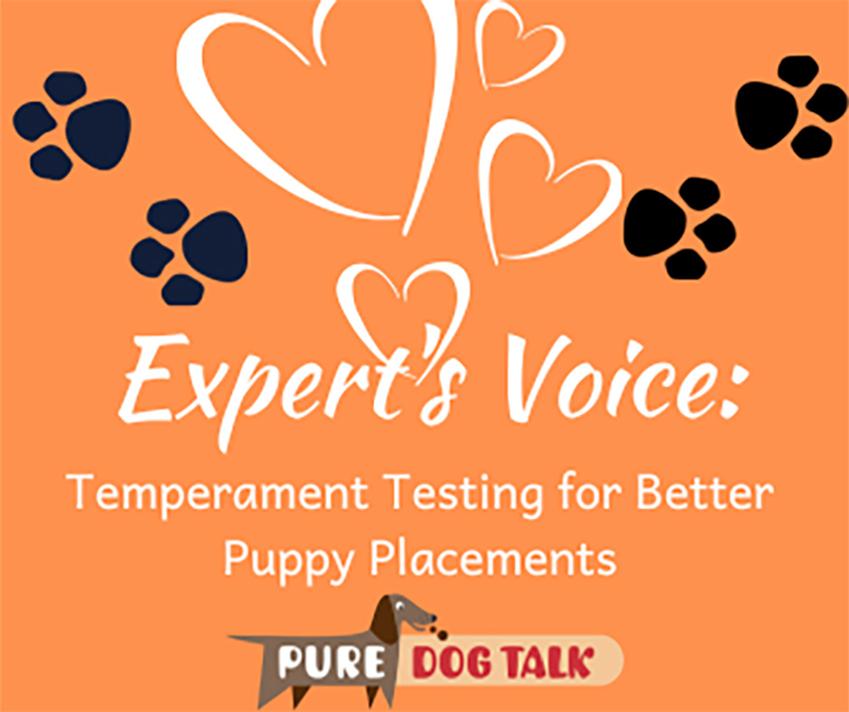 594 Temperament Testing for Better Puppy Placements Pure Dog Talk