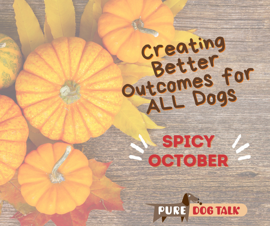 Pure Dog Talk-Spicy-season-is-here