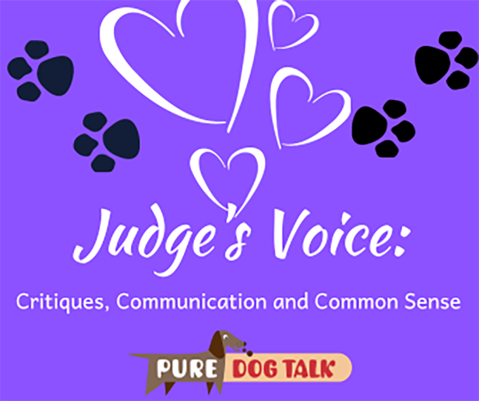Veterinary-Voice-Critiques, Communication and Common Sense in Dog Shows