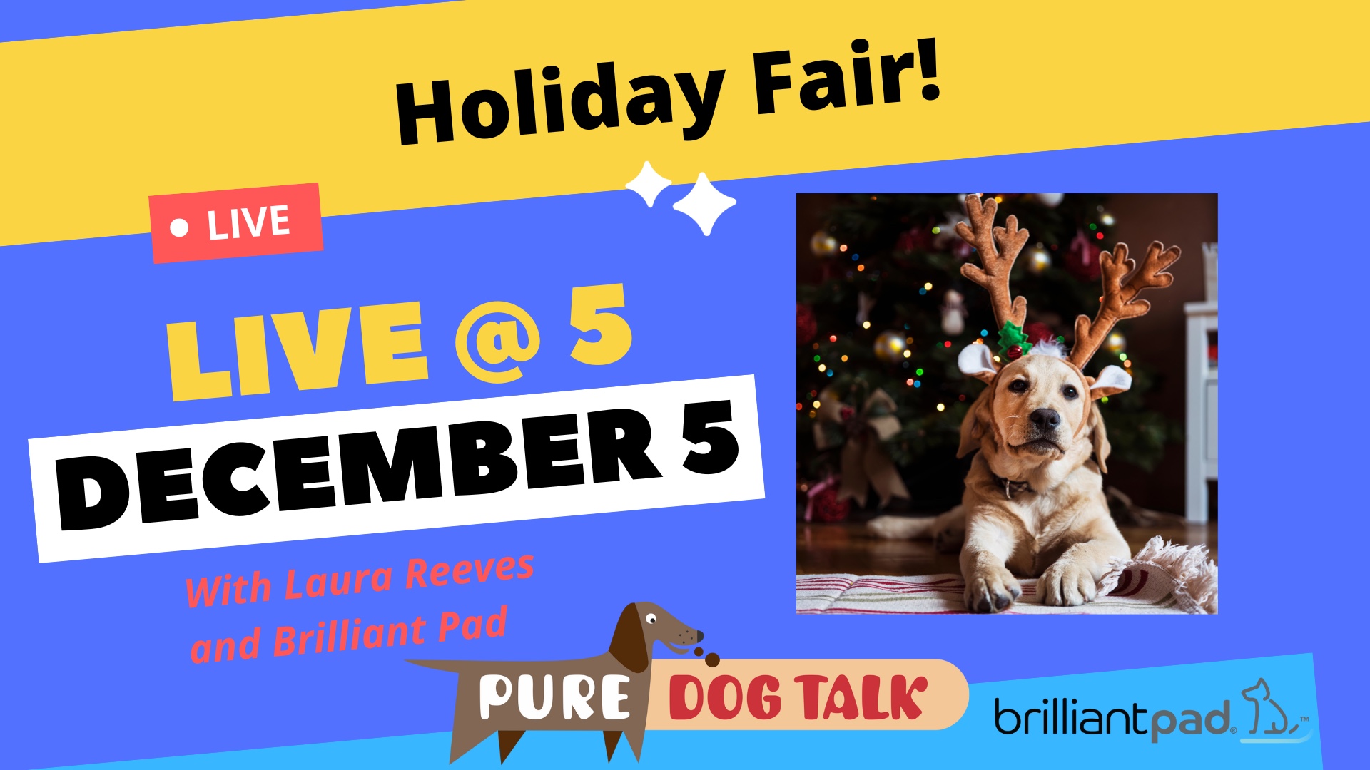 December LIVE@5! Technology Has Gone To The Dogs!