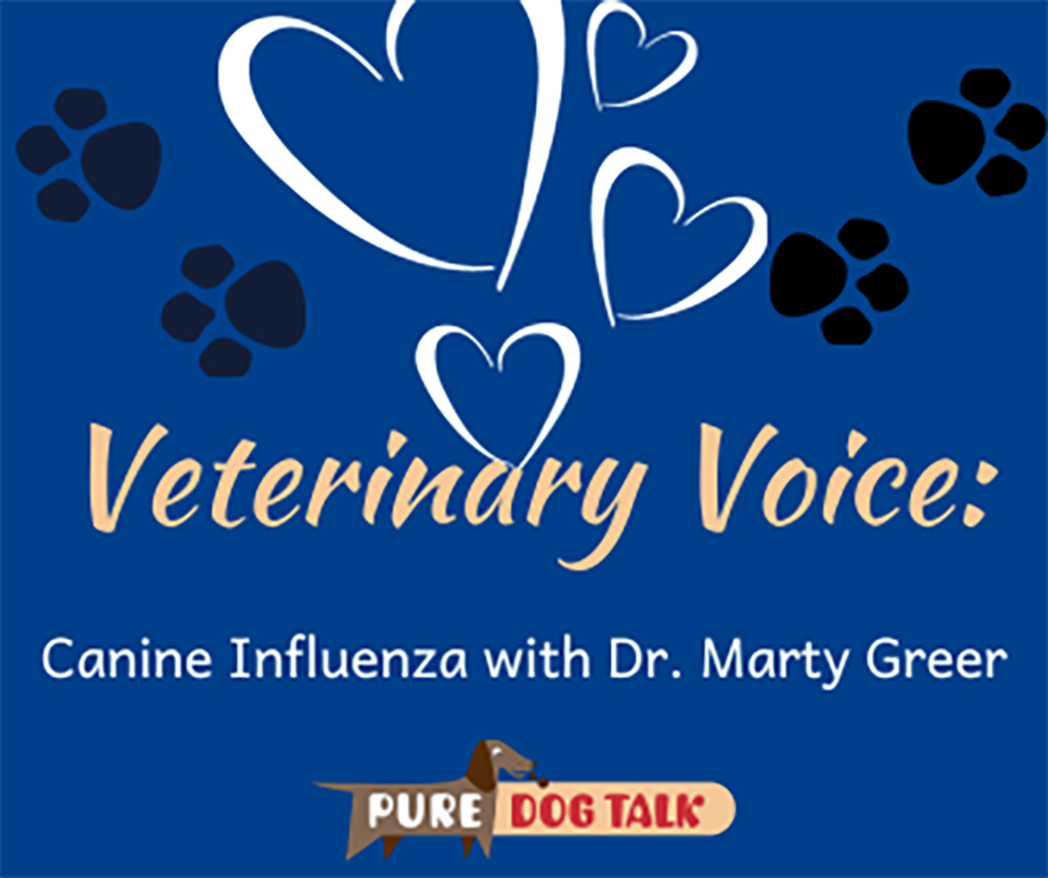 Veterinary-Voice-Canine Influenza Outbreak and How to Manage It with Dr. Marty Greer