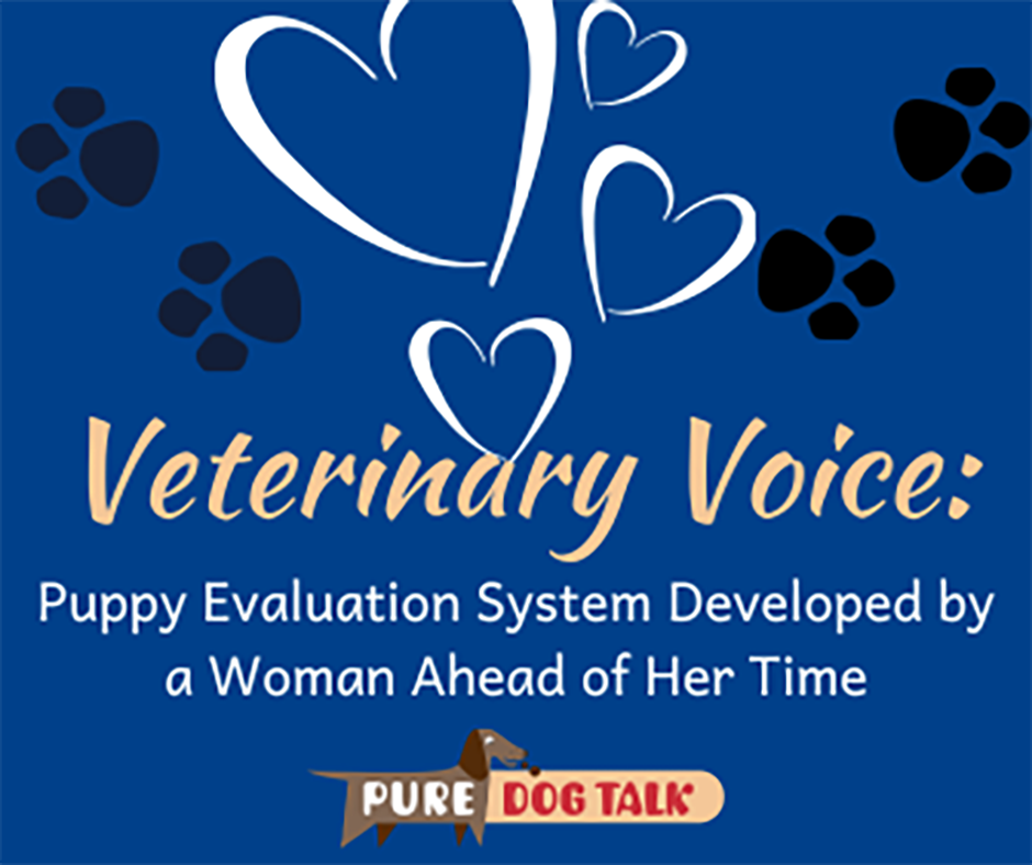 Veterinary-Voice-Puppy Evaluation System Developed by a Woman Ahead of Her Time