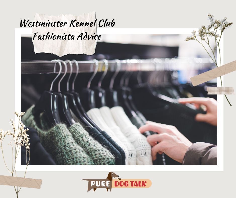630 — Westminster Kennel Club Fashionista Advice