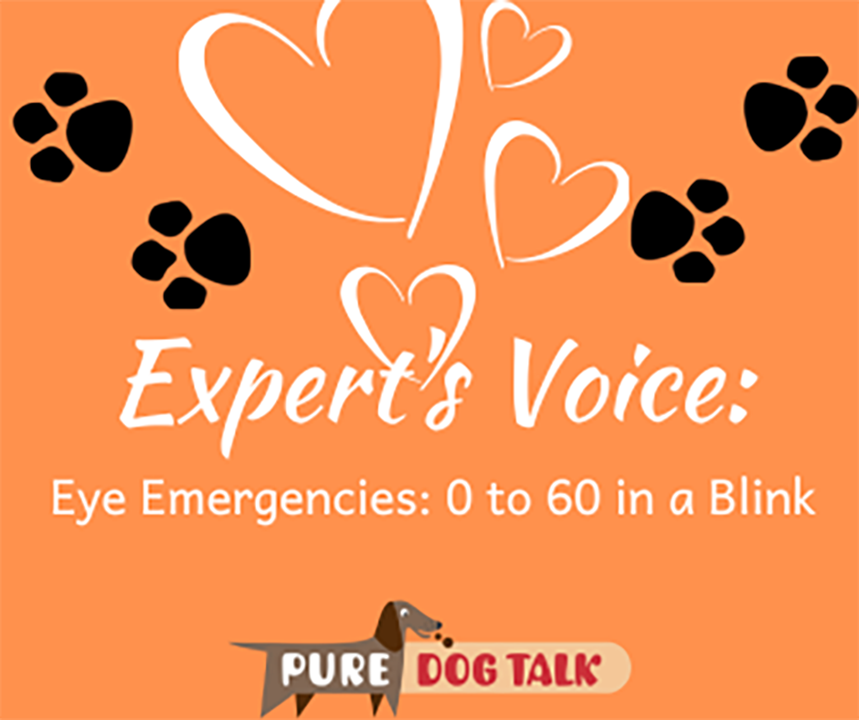631– Eye Emergencies Can Go From 0 to 60 in a Blink