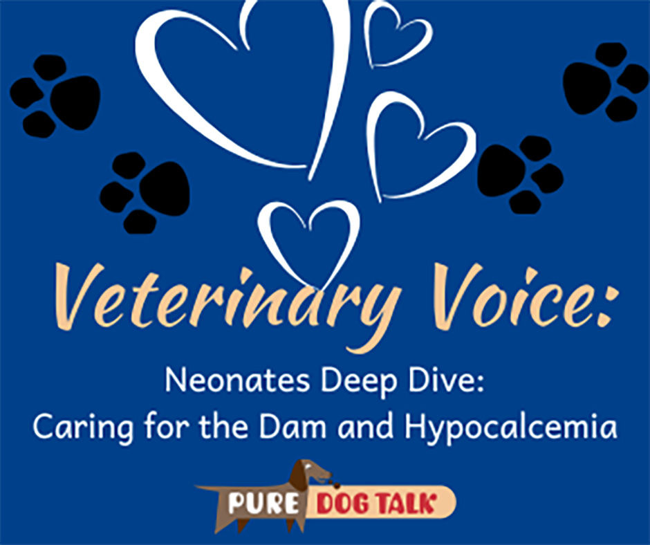 629 – Neonates Deep Dive: Caring for the Dam and Hypocalcemia