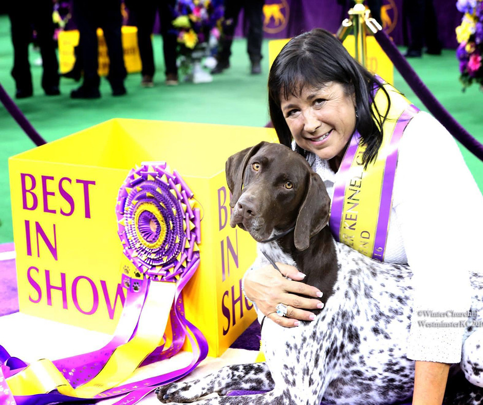The New Voice of Westminster Kennel Club