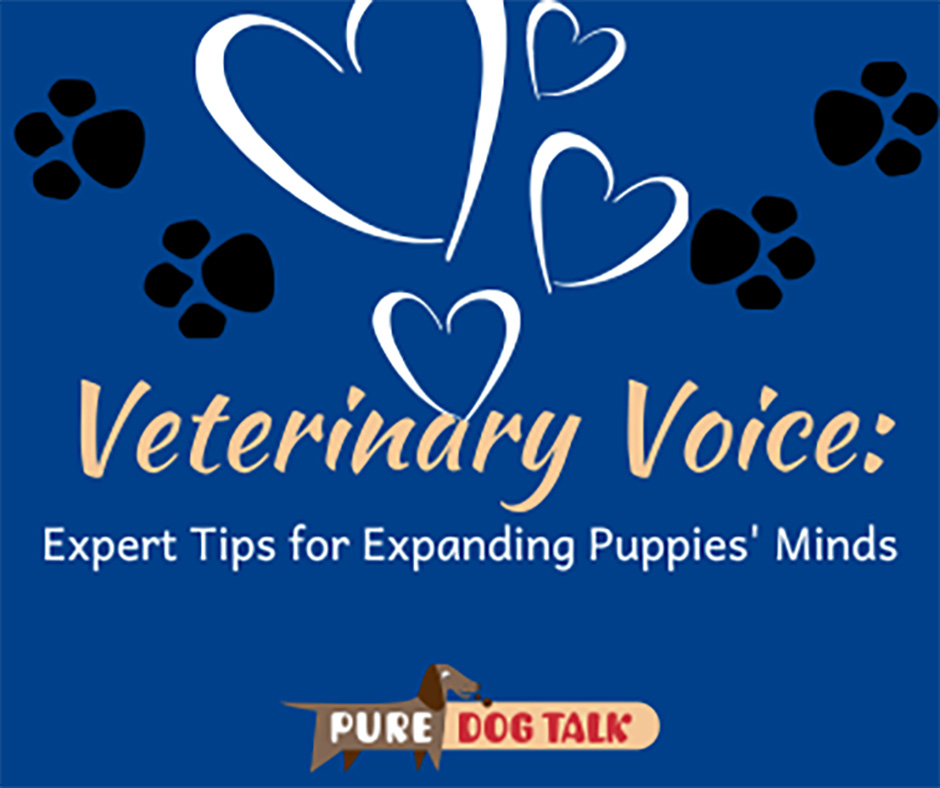 632 – Expert Tips for Expanding Puppies’ Minds