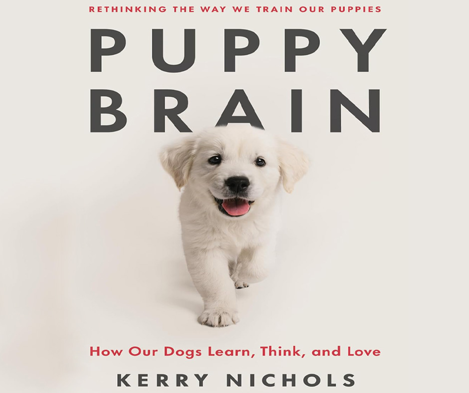 Puppy Brain How Our Dogs Learn, Think and Love