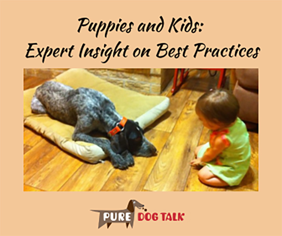 Veterinary-Voice-Puppies and Kids Expert Insight on Best Practices