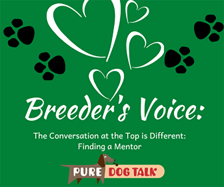 Veterinary-Voice-The Conversation at the Top is Different Finding a Mentor