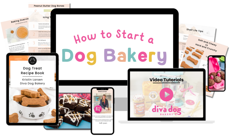 start_a_dog_bakery_course