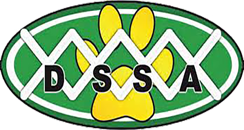 DSSA logo