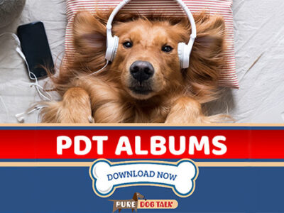 PDT Exclusive Downloads