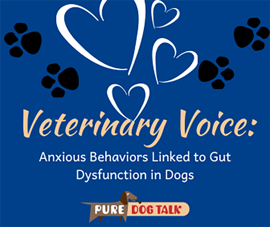 662 – Anxious Behaviors Linked to Gut Dysfunction in Dogs