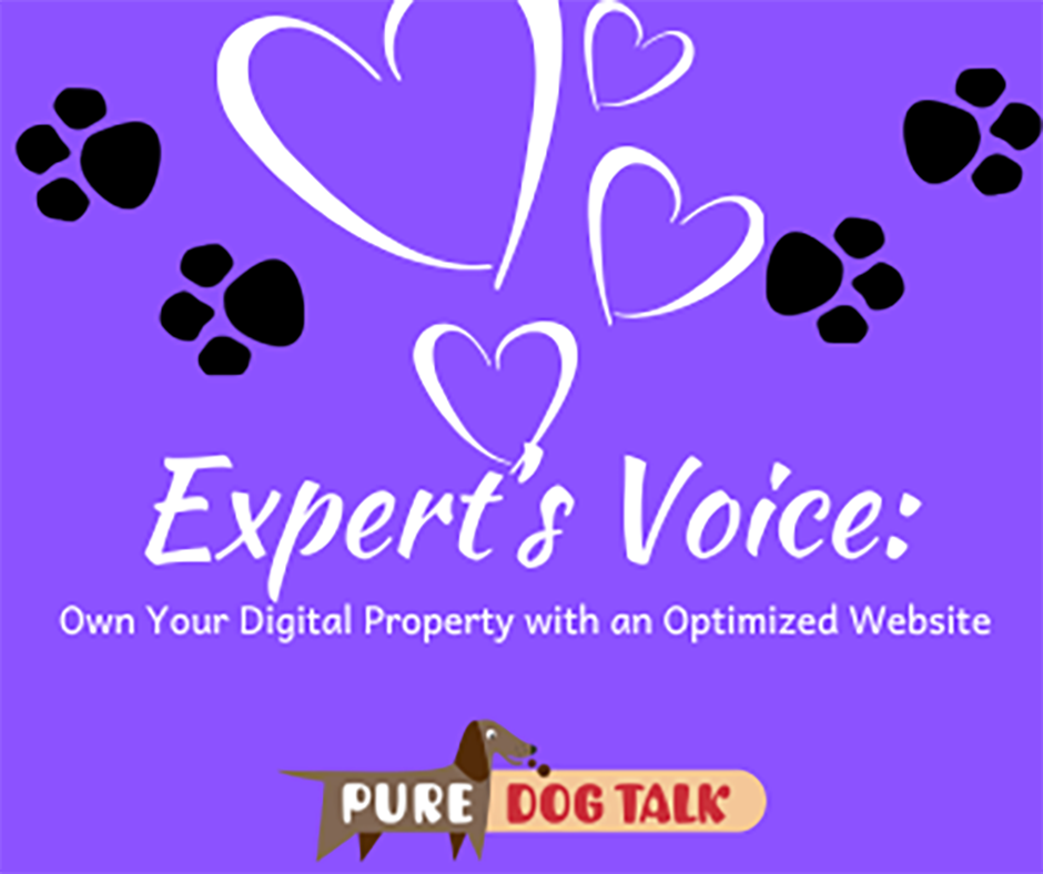683 – Own Your Digital Property with an Optimized Website
