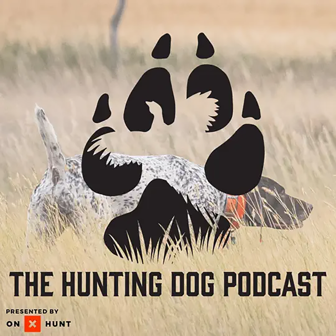 Pure Dog Talk Meets The Hunting Dog Podcast