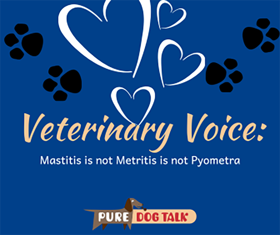 684 – Mastitis is not Metritis is not Pyometra