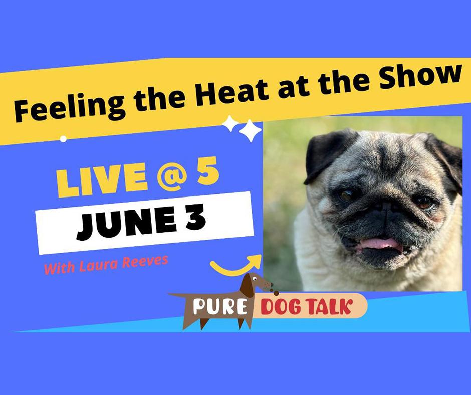 692 — Pro Tips for Hot and Dog Shows and When Safety Overrules Ribbons