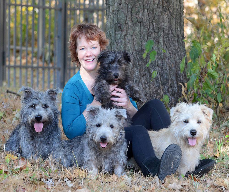 693 – The Glen of Imaal Terrier’s Place in Ireland