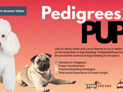 PedPup
