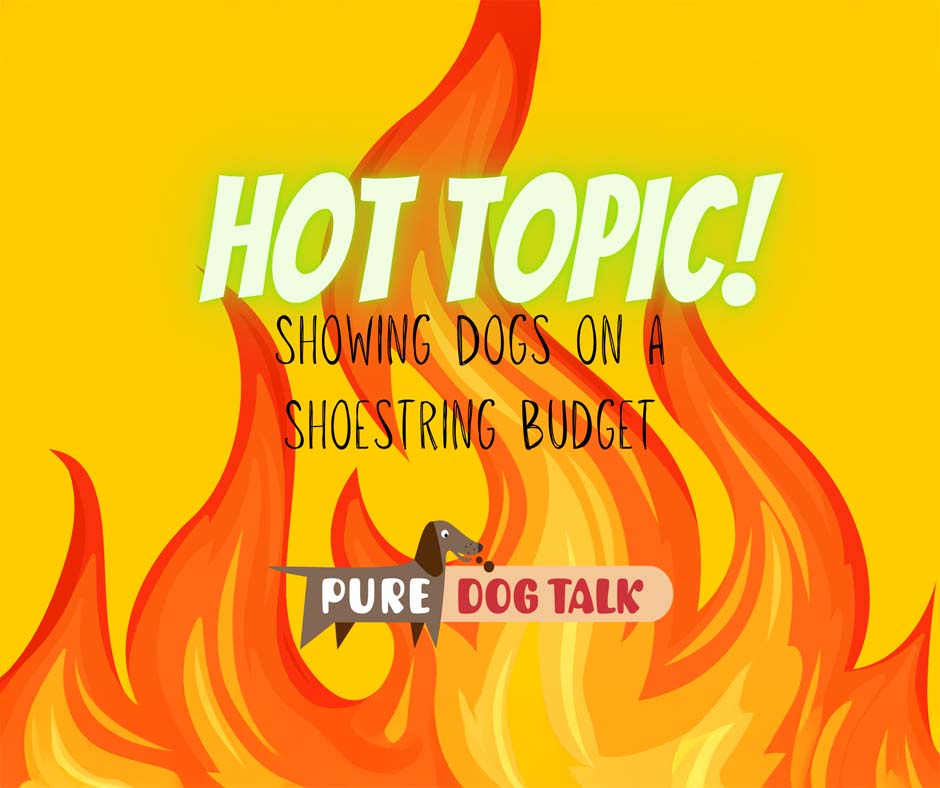 717 — Showing Dogs on a Shoestring Budget