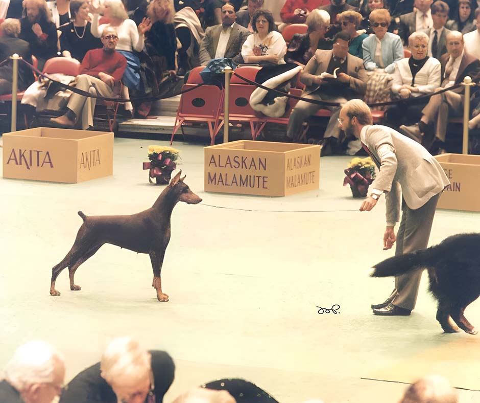 724 — Legendary Handler Andy Linton on Quality, Conditioning and Presentation