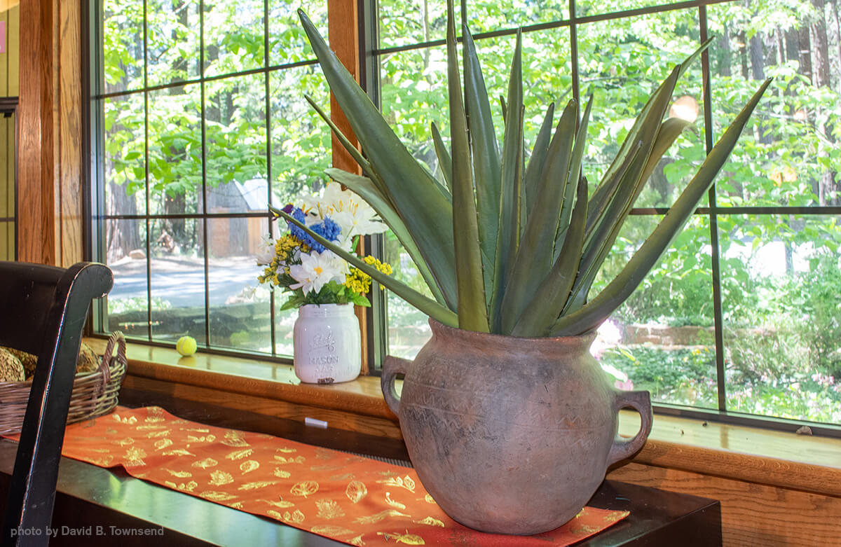 Garden detail at Harmony Ridge Lodge