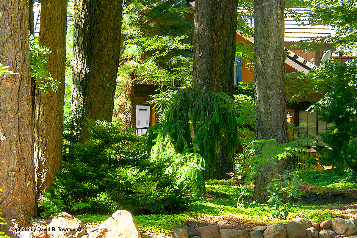 The grounds at Harmony Ridge Lodge
