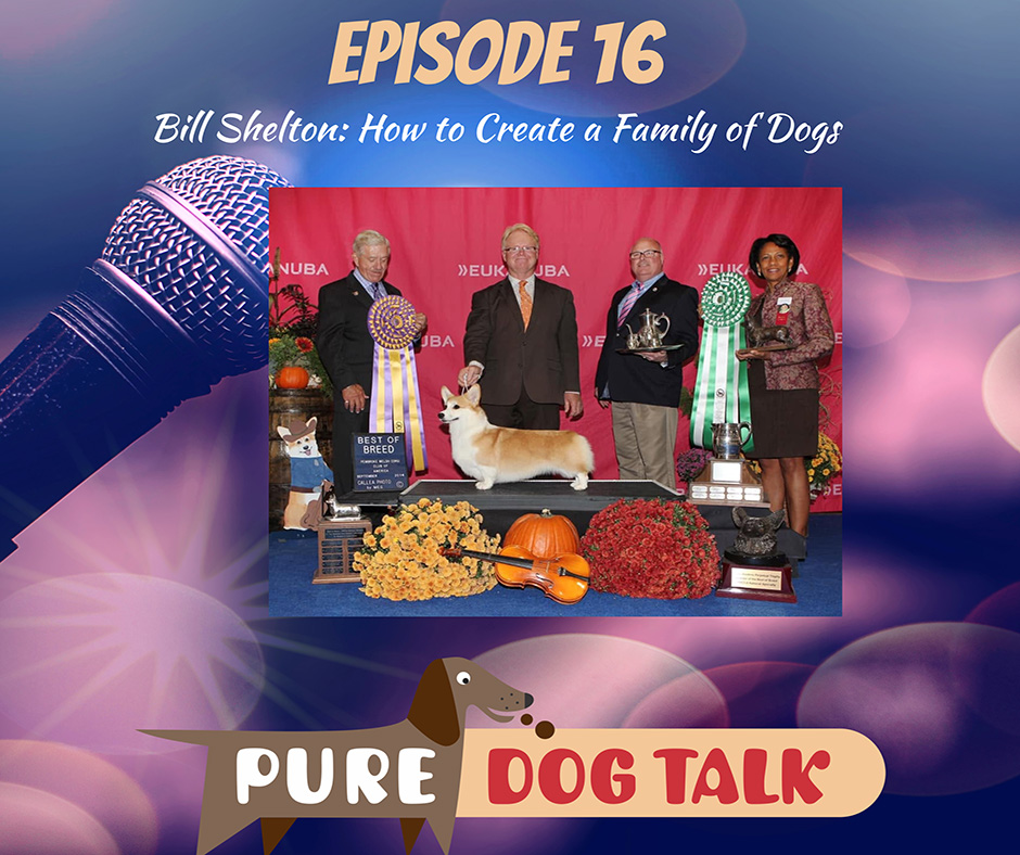 Bill Shelton How to Create a Family of Dogs