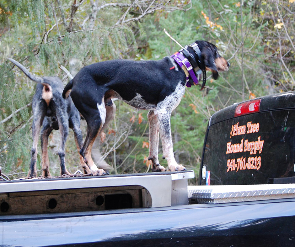 Call the Coonhounds Night Hunts, Water Races and more