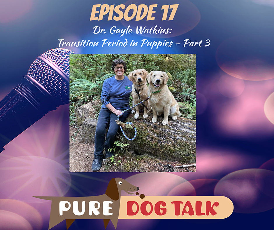 Dr. Gayle Watkins Transition Period in Puppies – Part 3