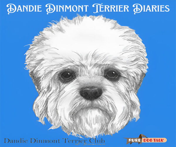 From Earthdog to Agility Barbara Baese’ Guide to the Versatile Dandie Dinmont Terrier