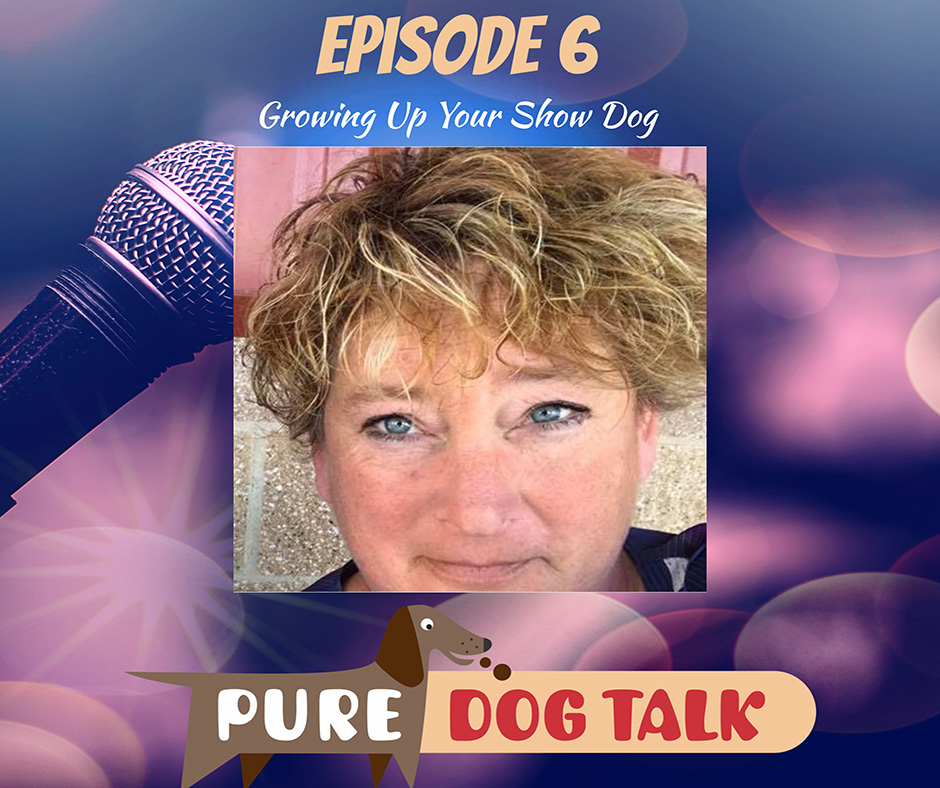 Growing Up Your Show Dog