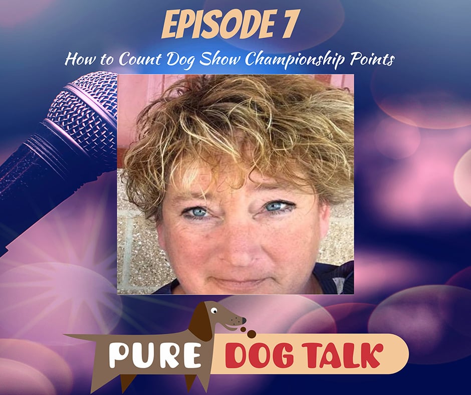 How to Count Dog Show Championship Points