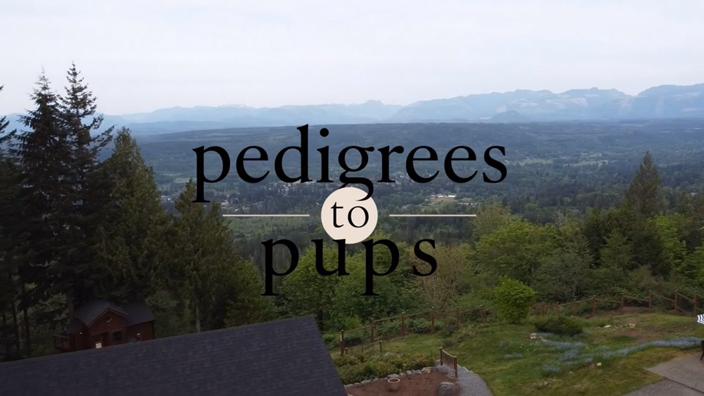 Pedigrees2Pups seminar with Laura Reeves and Dr. Marty Greer