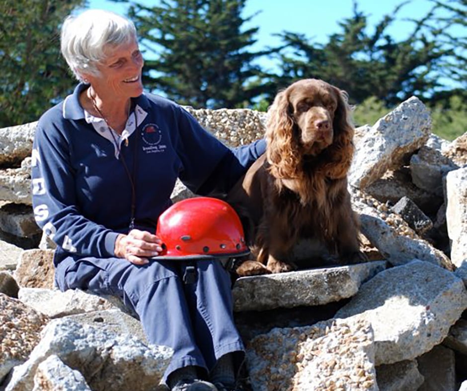 Sussex Spaniels, Hunt Tests, Search and Rescue Pluis Davern Tells All