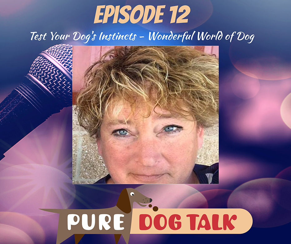 Test Your Dog’s Instincts – Wonderful World of Dog