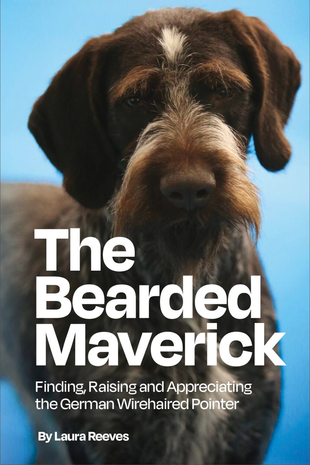 The Bearded Maveric