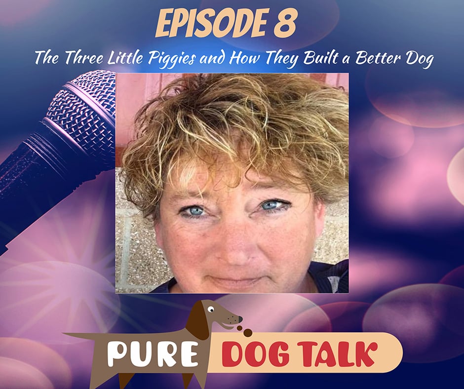 The Three Little Piggies and How They Built a Better Dog